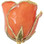 Real 12" Inch Lacquered Orange Colored Rose