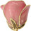 Real 12" Inch Lacquered Pink Colored Rose 