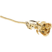 A Real 24k Gold Plated Rose