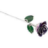 A Real Semi-Opened Lacquered Purple Rose with Platinum Trim