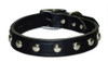“Happy Camper” Custom Made Dog Collar is available on black studded leather