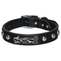 “Head Honcho” Custom Made Dog Collar shown on black studded leather