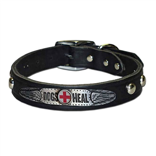 “Dog’s Heal” Custom Made Dog Collar