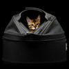 Black Sleepypod Pet Bed Carrier Car Safety Seat is equally suited to dogs or cats