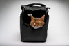 Black Sleepypod Atom Airline Approved Pet Carrier can unzip to allow your pet to poke its head out