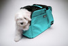 Robin Egg Blue Sleepypod Atom Airline Approved Pet Carrier has mesh ventilation windows that can be unzipped so pets can stick their heads out