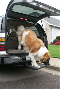 Otto Step Platform Pet Step allows pets to get our of SUV'S and truck beds much more safely and easily.