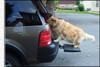 Otto Step Platform Pet Step allows pets to get into SUV'S and truck beds more easily and safely.