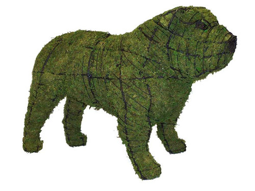 Bulldog Mossed Topiary Dog