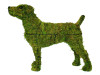 Jack Russell Mossed Frame Topiary Dog