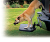Pets use it with confidence because of its large, non-slip surface area
