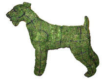 Airedale Mossed Topiary Dog Mossed Frame