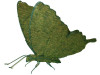 Mossed Frame Butterfly Topiary