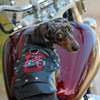 Black Biker Dog Motorcycle Jacket