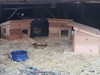 Outdoor feral cat shelter house set up by one of our awesome customers.