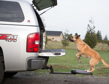 Provides easy access for larger dogs to reach the truck bed
