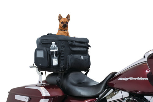 motorcycle pet carrier