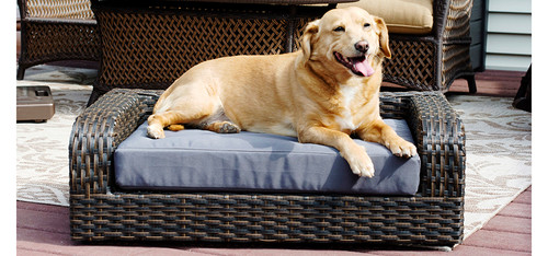 Rattan Indoor/Outdoor Rectangular Pet Sofa Bed Couch supports pets up to a maximum weight of 80 lbs.