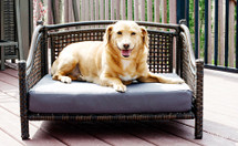 Rattan indoor/outdoor Maharaja pet bed is equally suited to dogs and cats
