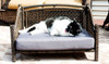 Rattan indoor/outdoor Maharaja pet bed is equally suited to dogs and cats