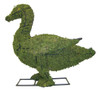 9 Inch Duckling Mossed Topiary is 9 inches tall and has realistic eyes.  Arrives as a pair of ducklings.
