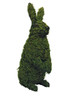 Mossed Upright Rabbit topiary front view