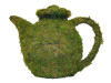 Teapot Mossed Topiary 