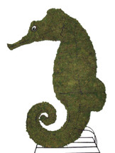 Mossed Seahorse Topiary