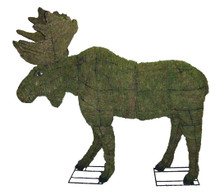 Mossed Moose Topiary
