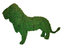 Mossed lion garden topiary