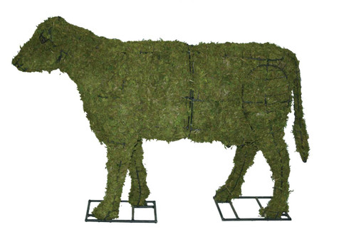 Cow Calf 24 Inch Mossed Topiary Garden Sculpture arrives in sections and has steel mounting plates the front & back legs for secure anchoring.