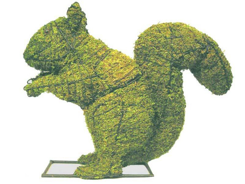 18 Inch Mossed Squirrel Topiary
