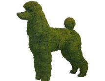Mossed Standard Poodle Topiary Form