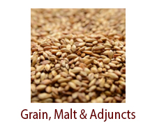 Grain, Malt & Adjuncts