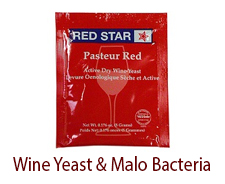 Wine Yeast and Malolactic (Malic Acid) Bacteria