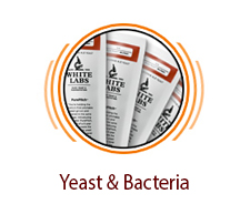 Yeast & Bacteria