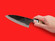 Ikenami Hamono | double bevel deba | 150mm・ 5.9" | Shirogami #1 | Knife Japan