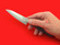 Ikenami Hamono Petty Knife | 11cm・4.3" | HAP40 'haisu' high speed steel | Knife Japan