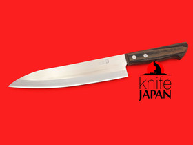 Ikenami Hamono | High Speed Steel Gyuto | 210mm・8¼" | Knife Japan