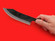 Ikenami Hamono Shika-sabaki deer knife | 150mm・5.9" | Shirogami #1 | Knife Japan