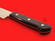 Moriya Munemitsu YHC Yanagiba  | 210mm・8.25" | Gingami 3 stainless | Knife Japan