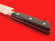 Moriya Munemitsu YHC yanagiba-bocho | gingami#3 stainless | 210mm・8.25" | Knife Japan
