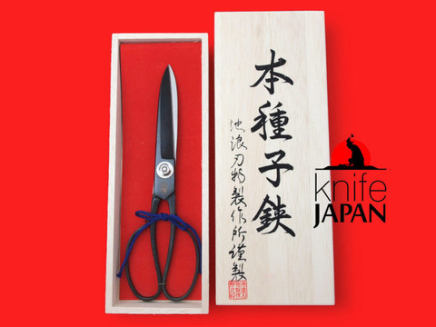 Ikenami Hamono gift-boxed Tanebasami scissors | 7.5 sun ・23cm | Knife Japan