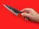 Zakuri Funayuki-bocho | Aogami #2 | 150mm ・ 5.9" | Knife Japan