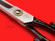 Ikenami Hamono tanebasami scissors | 4 sun ・ 12cm ・ 4¾" | Knife Japan