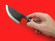 Hayashida Hamono Shinju-bocho | Aogami #2 | 80mm・3.15" | Knife Japan