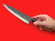 Kawasaki Kajiya Gyuto | Stainless-clad Aogami #2 | 210mm・8¼" | Knife Japan