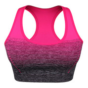Hyped Sports Womens Bra Quick Dry HBack Yoga Running Fitness Underwear Rose