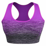 Hyped Sports Womens Bra Quick Dry HBack Yoga Running Fitness Underwear Purple