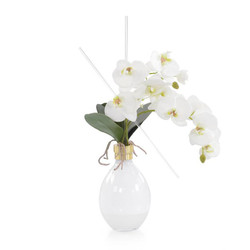 White Dove - White Vase